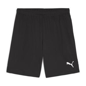 Шорты Puma мужские teamGOAL 705752