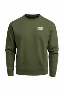 Уличная толстовка с принтом mit на спине и типографикой Neverless, Oliv