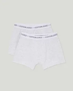 Упаковка из двух простых мужских трусов-боксеров Cotton Juice, светло-серый