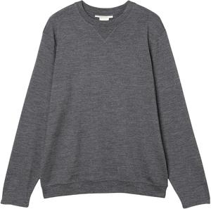 Толстовка с длинными рукавами Icebreaker, мериносовая шерсть, удобный, унисекс, Merino 200, IT62372, для взрослых унисекс