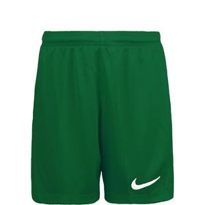 Тренировочные брюки Nike PARK III, цвет Grass Green