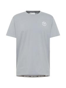 Футболка Demitri серого цвета Carlo Colucci