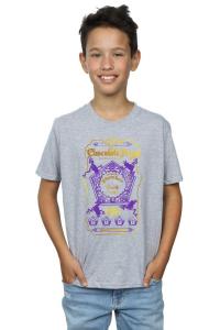 Футболка с цветной этикеткой «Шоколадные лягушки» Harry Potter, серый