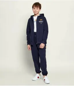 Спортивный костюм regular fit Aeronautica Militare, темно-синий
