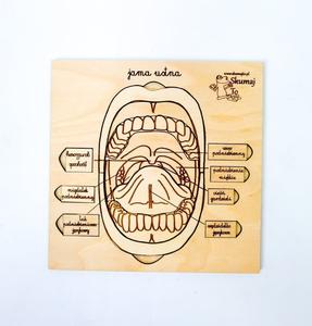 Деревянный пазл для полости рта, съемные элементы с подписями. Inna marka
