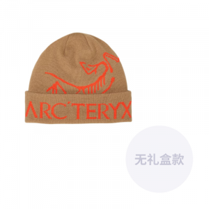 Слово "Птица" (Bird Word Toque) Arcteryx, canvas/dynasty