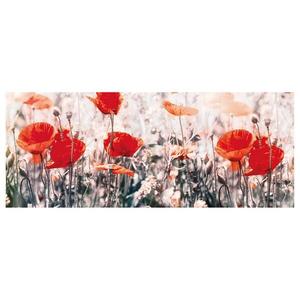 Картина на холсте A.S. Création Wild Poppies цвет rot/grau