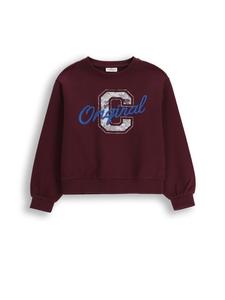 Толстовка Coccodrillo, коричневый