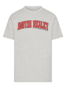 Рубашка F4NT4STIC British Motor Heritage Austin Healey College, серый