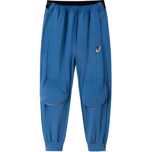 Трикотажные спортивные штаны GS Asics, синий