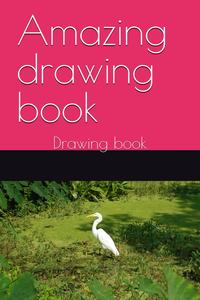 Amazing drawing book: Drawing book (Independently published)