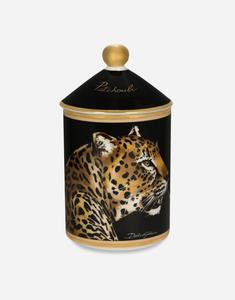 Фарфоровая ароматическая свеча - Пачули Dolce&Gabbana, мультиколор