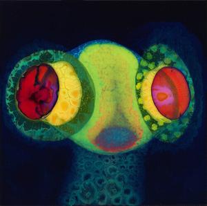 Виниловая пластинка Osees: Sorcs 80