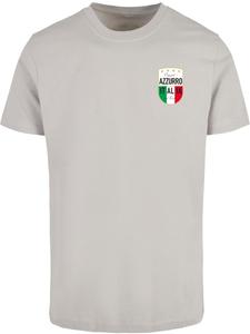 Футболка Azurro Italia Crest Tee Mister Tee, серый