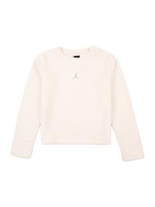 Jordan Свитшот 'MOUNTAINSIDE' в цвете гридж