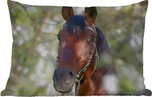 Подушка для улицы - Лошади - Цветение - Весна - Животные - 50 x 30 см - Водонепроницаемая - Подушка для отдыха - Подушка для дивана - Украшение для гостиной MuchoWow