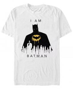 Мужская футболка DC I Am Batman City Silhouette с короткими рукавами Fifth Sun