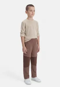 Брюки унисекс Adidas Terrex, Trace Brown