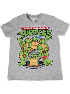 Футболка Teenage Mutant Ninja Turtles, серый
