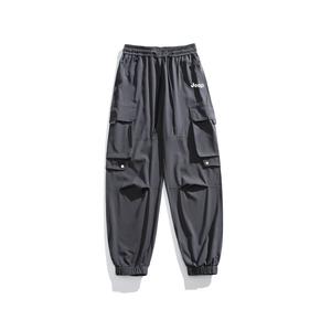 Повседневные брюки мужские Jeep, God Gray