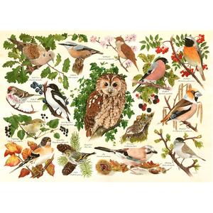 Пазлы Woodland Birds Big 500 Puzzle