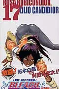 Bleach 17 (Jump Comics)