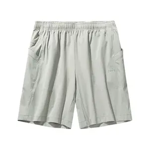 Короткие шорты Casual для мужчин Outdoor Collection Pearlescent Gray ANTA, серый