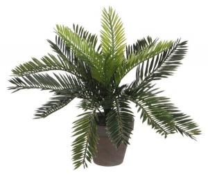Декоративное растение Mica Decorations Cycas-Palme, 34x34x34 см, зеленый