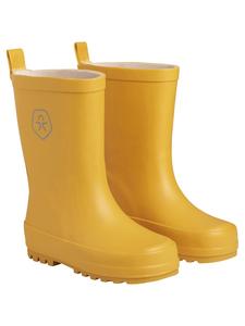 Резиновые сапоги зеленого цвета Color Kids