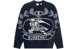 Мужской свитер Burberry, цвет Blue