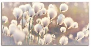 Картина на холсте Artland Wollgraszauber im Moor, 60x30x2 см, натуральный