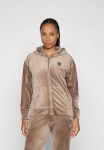 Толстовка DKNY TWO TONE RHINESTONE LOGO FULL ZIP HOODIE, Taupe