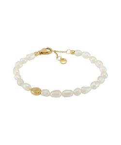 Женский браслет Skagen SKJ1825710