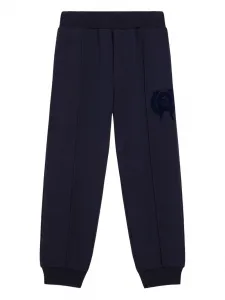 Спортивные брюки Dolce & Gabbana Kids, синий