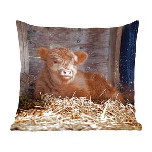 Декоративная подушка MuchoWow Диванная подушка Декоративная подушка для гостиной 60 x 60 см Шотландский горец - Ферма - Солома - Чехол на подушку - Хлопчатобумажная ткань - Декоративные наволочки