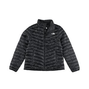 The North Face Куртки женские, темно-серые, с воротником-стойкой, средней толщины, другие цвета