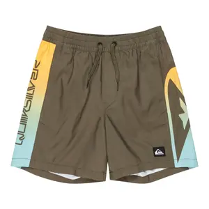 Everyday Holmes 14" Quiksilver детские плавательные шорты, коричневый