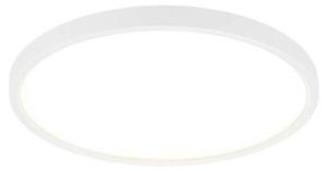 Светодиодный потолочный светильник Nettlife Diana, белый