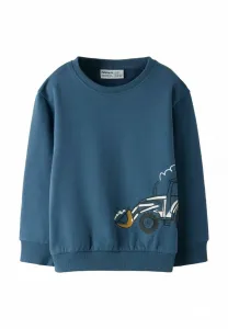 Толстовка стандартного кроя Name It, Bering Sea