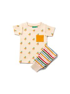 Футболка Little Green Radicals, красочный