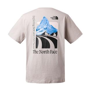 Футболка мужская серая The North Face, серый