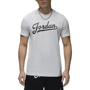 Футболка Flight T-shirt Men Pure Platinum/черный Jordan, черный