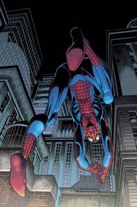 Amazing Spider-man #505 (#64) Comic (Marvel)