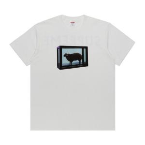 Футболка Supreme x Damien Hirst Tee 'White'