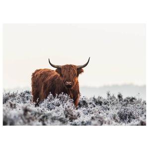 Фреска A.S. Création Highlander цвет braun/grau