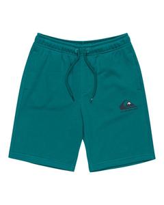 QUIKSILVER Шорты с эластичным поясом EASY DAY Blue Boy