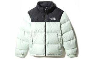 1996 Коллекция Пуховик Мужской Мятно-Зеленый The North Face, мятно-зеленый