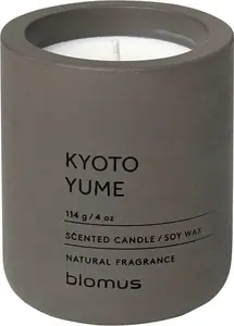 Ароматическая свеча Fraga Blomus, оливковый