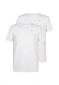 Комплект из 2 базовых футболок с круглым вырезом. Petrol Industries, Diverse