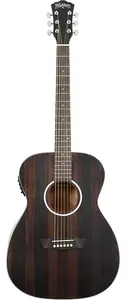 Washburn Deep Forest Ebony FE Полосатый черный эбен
